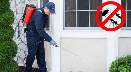 Yenimahalle Kemirgen İlaçlama böcek ilaçlama ve haşere kontrolü — ilaclama-tr.com